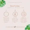 how to use hibiscus hydration